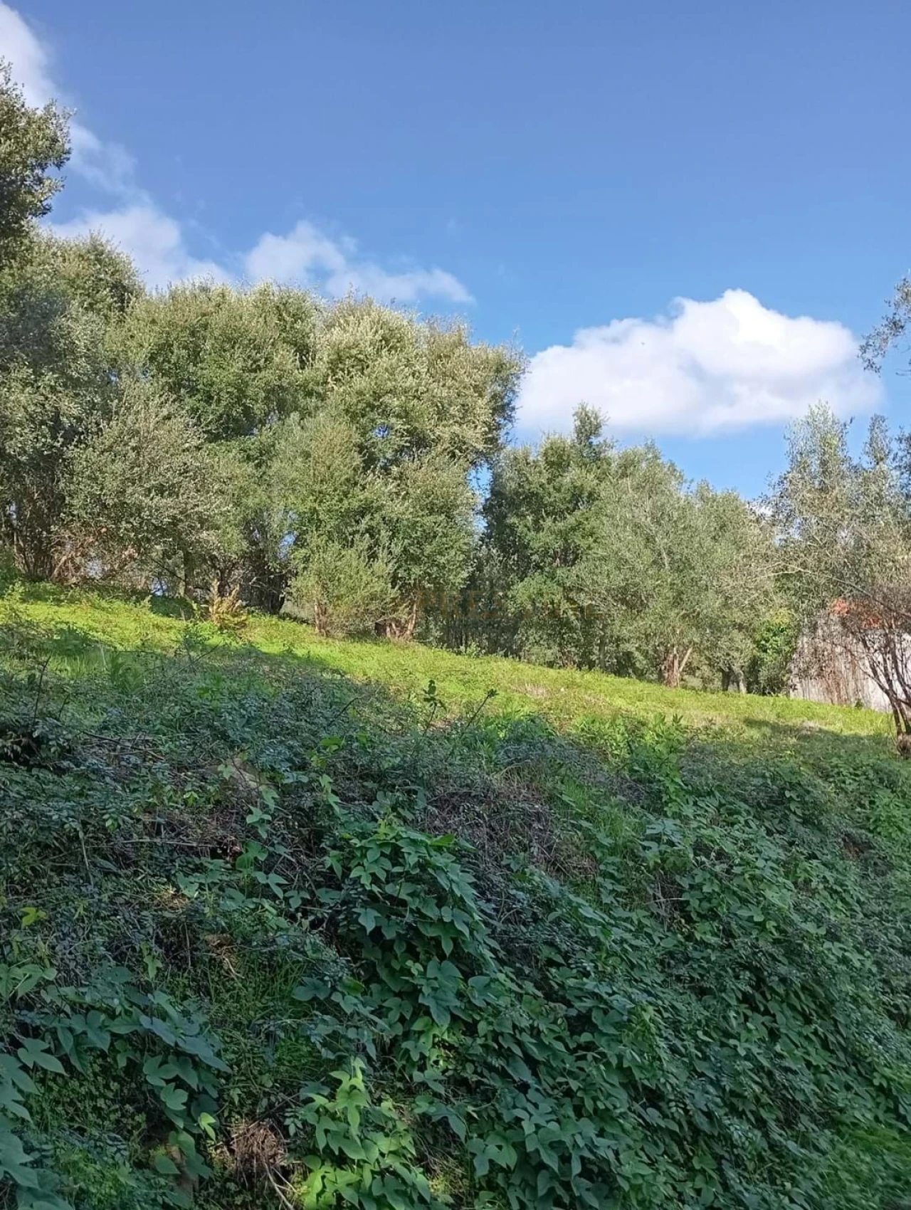 Terreno para Venda em Agualva e Mira-Sintra Foto 8