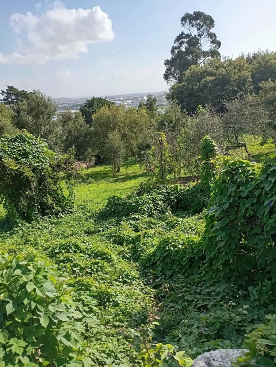 Terreno para Venda em Agualva e Mira-Sintra Foto 5