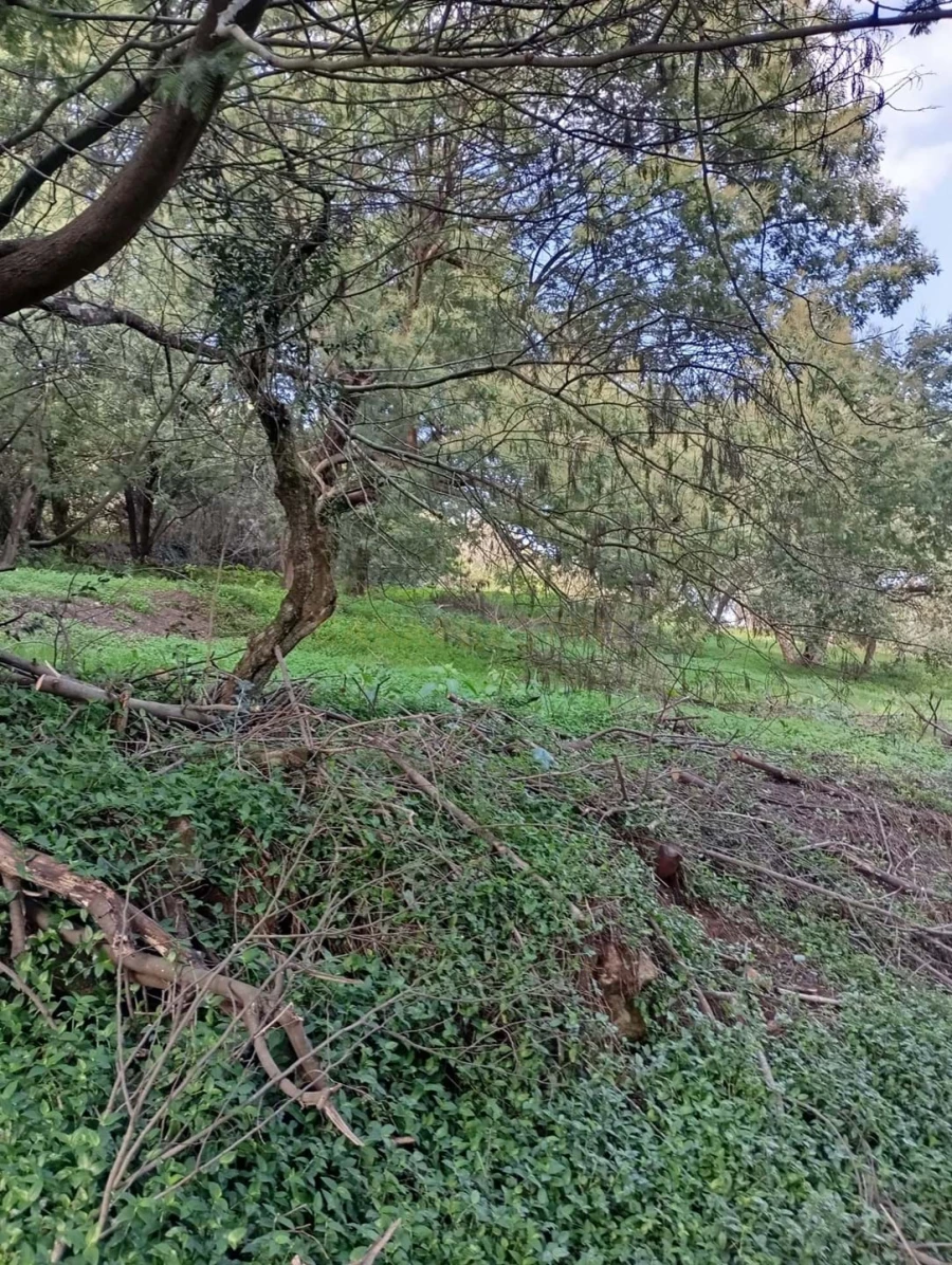 Terreno para Venda em Agualva e Mira-Sintra Foto 6