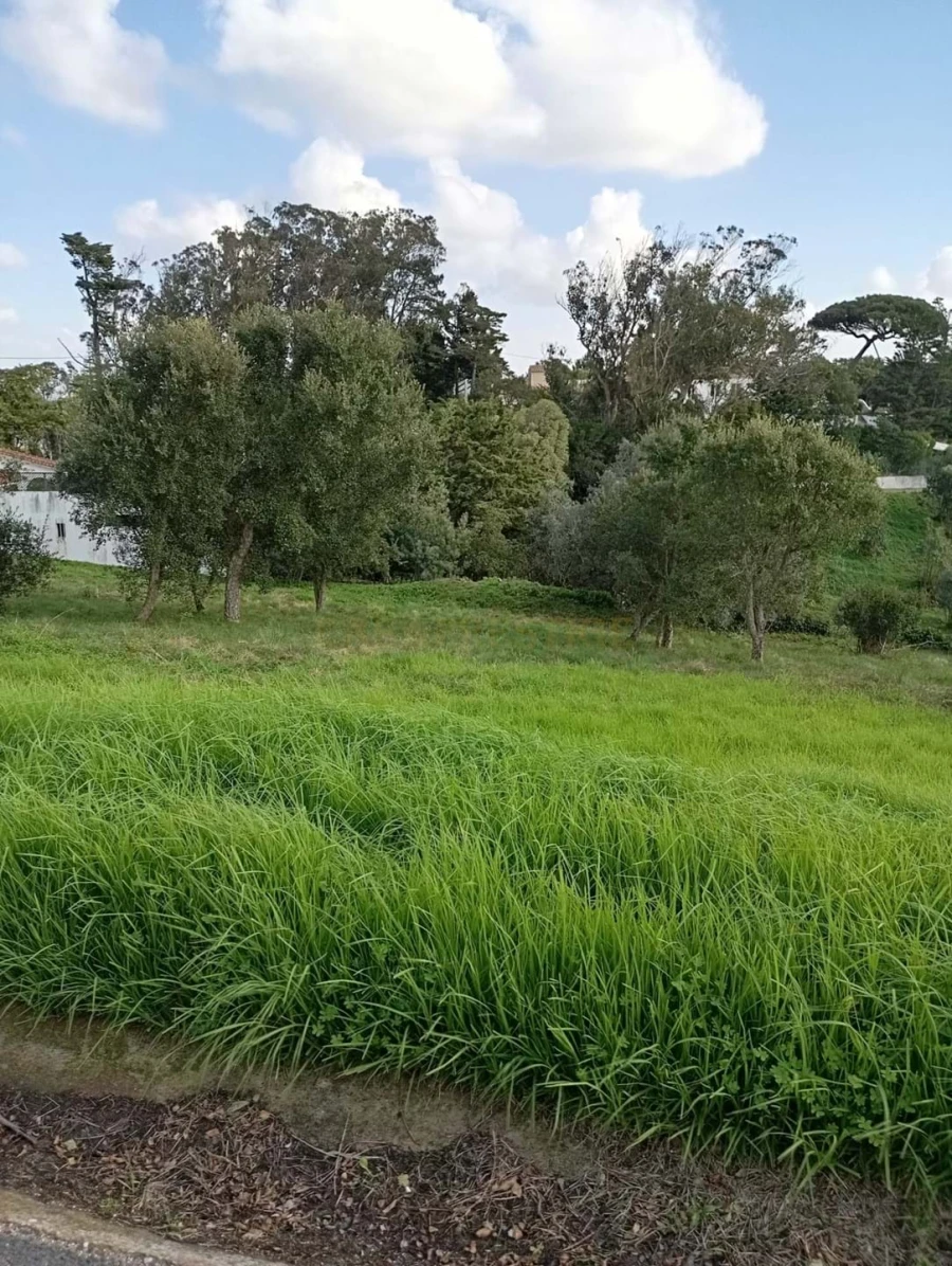 Terreno para Venda em Agualva e Mira-Sintra Foto 4