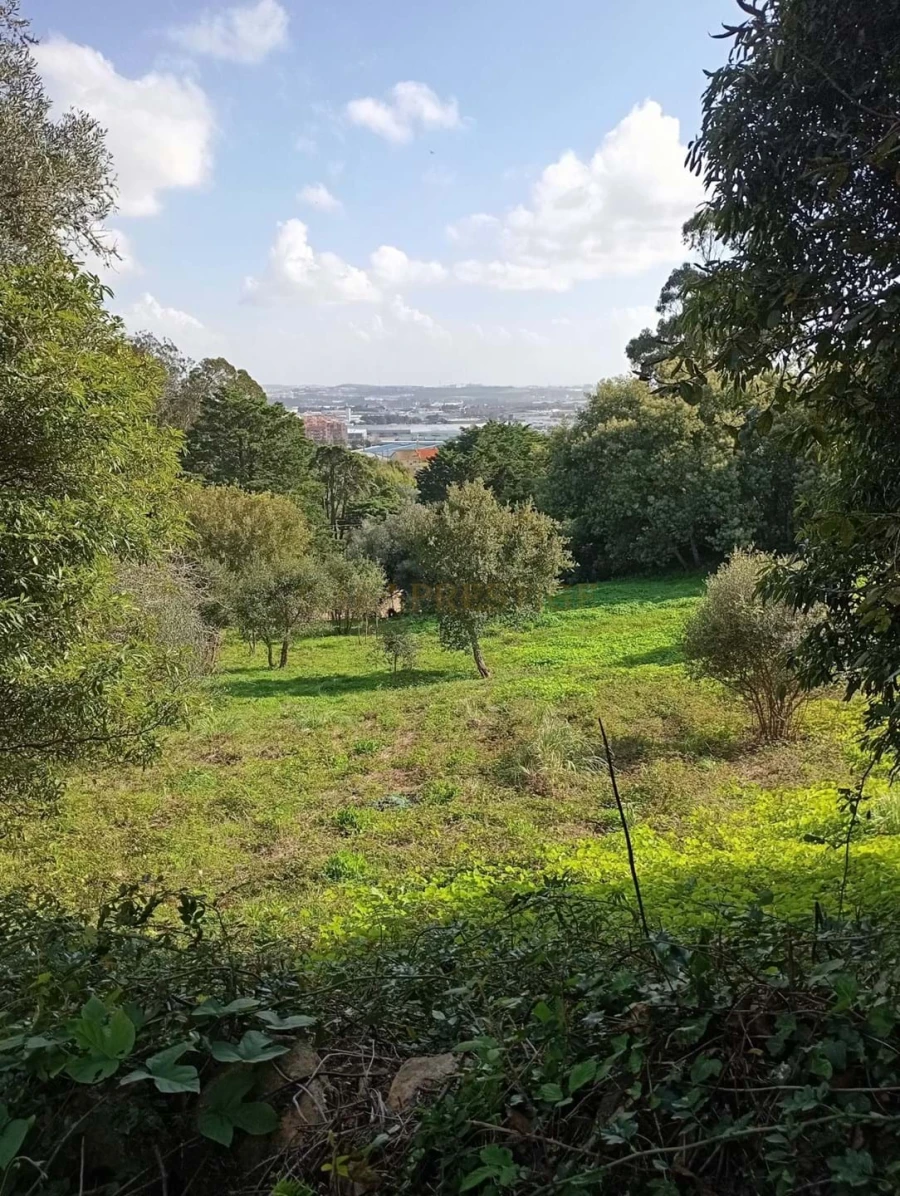 Terreno para Venda em Agualva e Mira-Sintra Foto 9