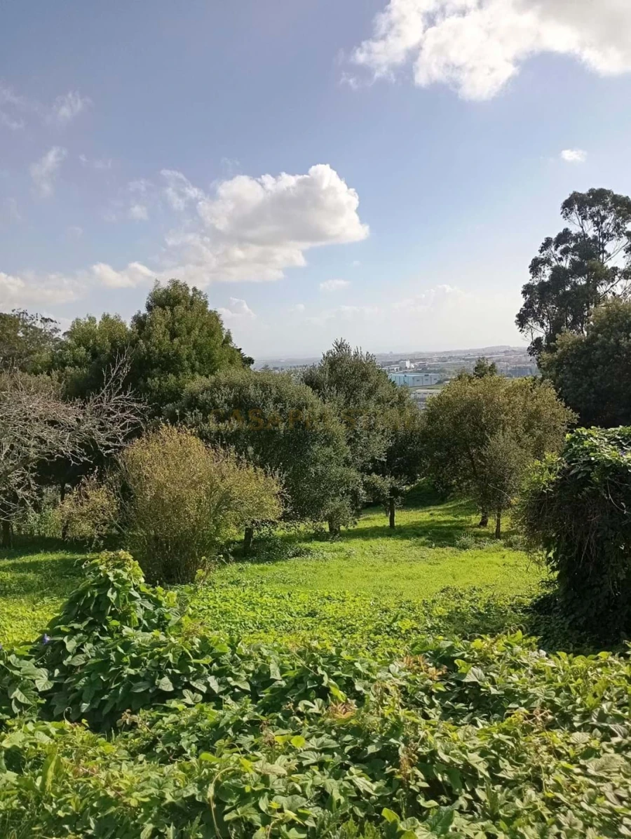 Terreno para Venda em Agualva e Mira-Sintra Foto 2