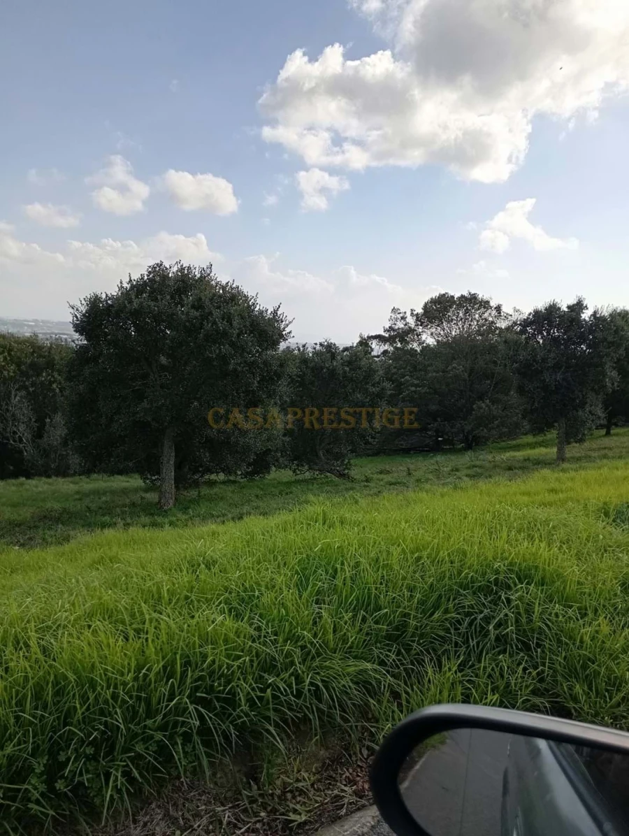 Terreno para Venda em Agualva e Mira-Sintra Foto 3