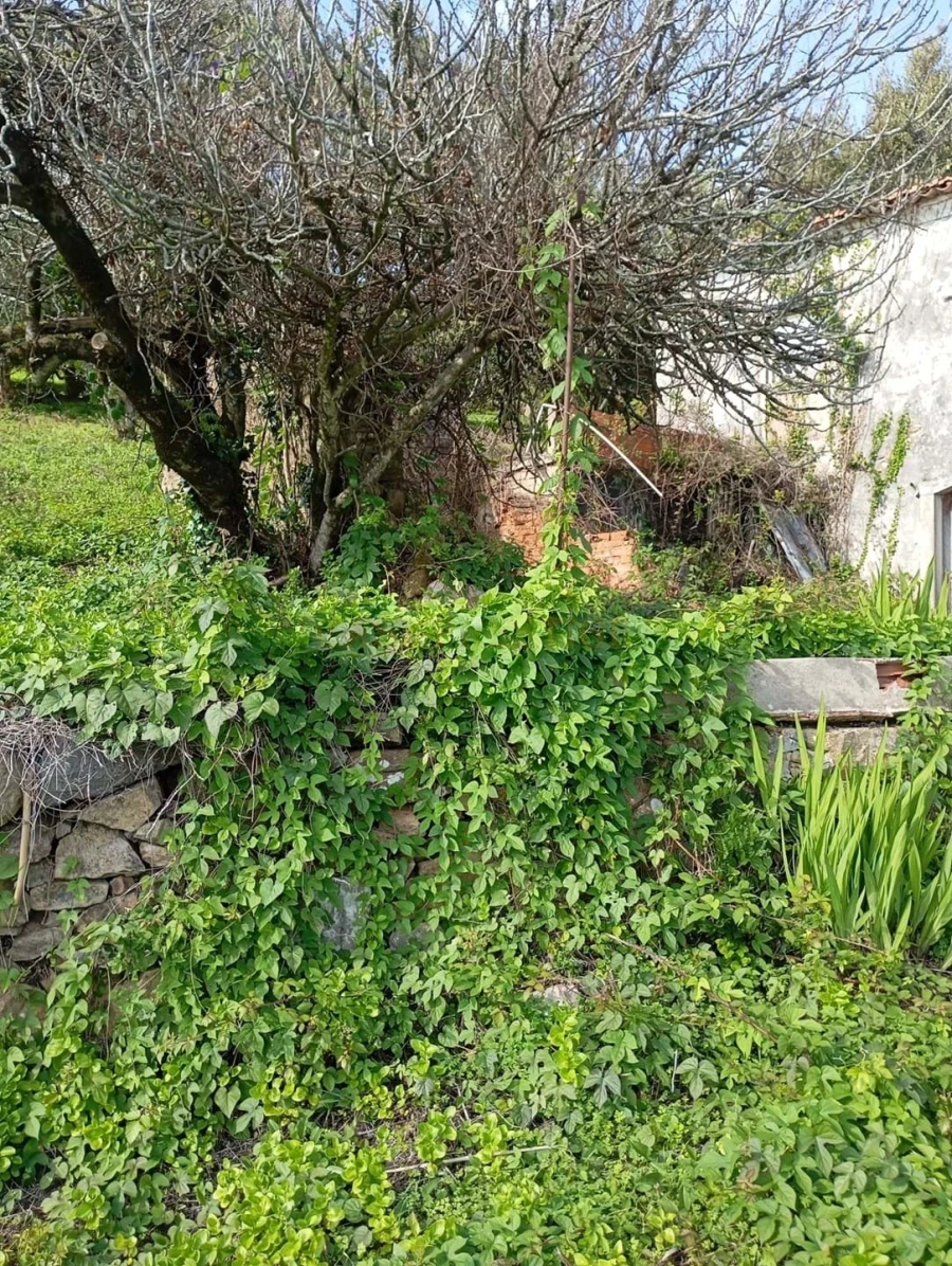 Terreno para Venda em Agualva e Mira-Sintra Foto 11