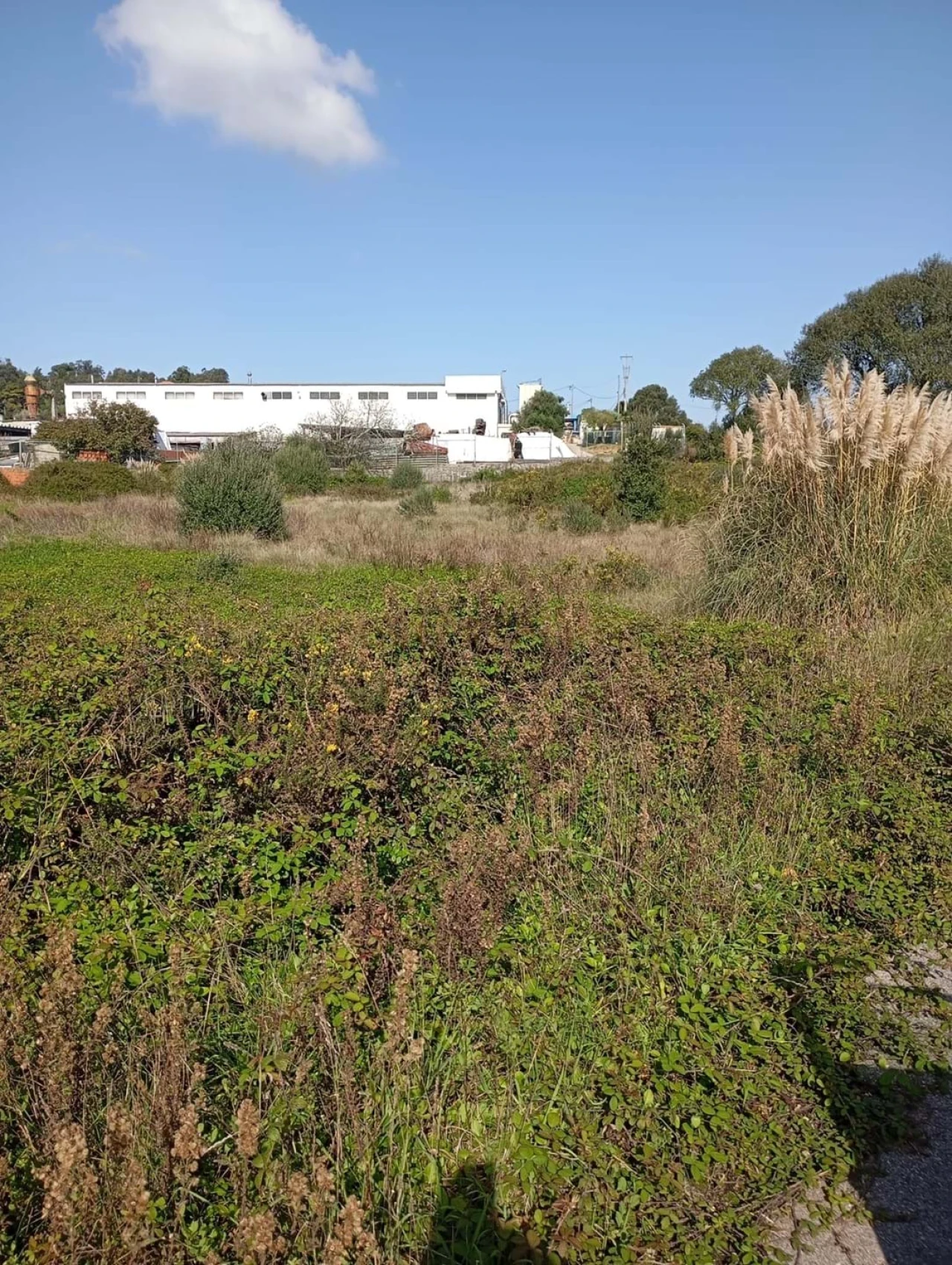 Terreno Agricola ou Rústico para Venda em Agualva e Mira-Sintra Foto 1