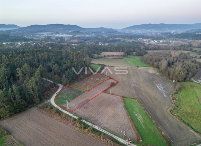 Terreno Agricola ou Rústico para Venda em Associação de Freguesias do Vale do Neiva Foto 2