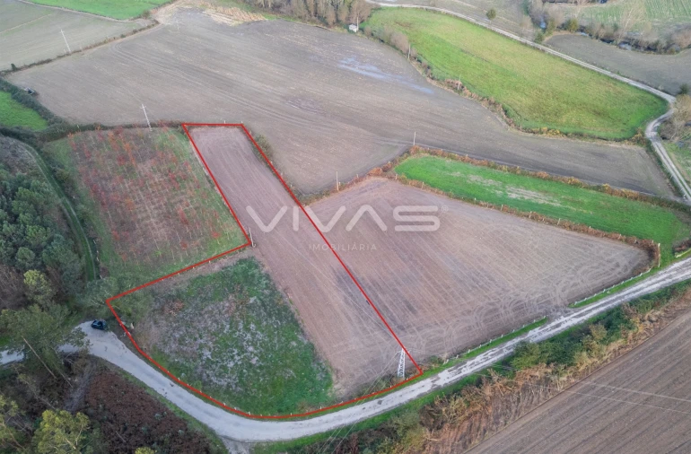 Terreno Agricola ou Rústico para Venda em Associação de Freguesias do Vale do Neiva Foto 6