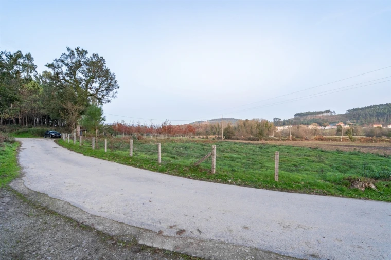 Terreno Agricola ou Rústico para Venda em Associação de Freguesias do Vale do Neiva Foto 12