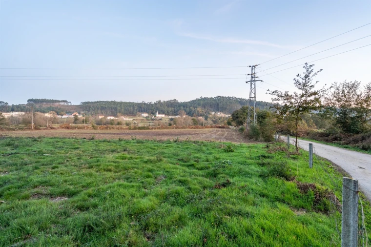 Terreno Agricola ou Rústico para Venda em Associação de Freguesias do Vale do Neiva Foto 13
