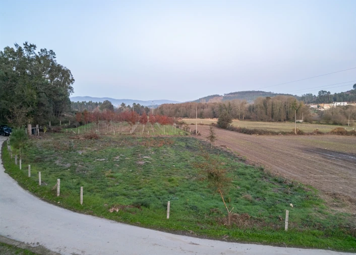 Terreno Agricola ou Rústico para Venda em Associação de Freguesias do Vale do Neiva Foto 10
