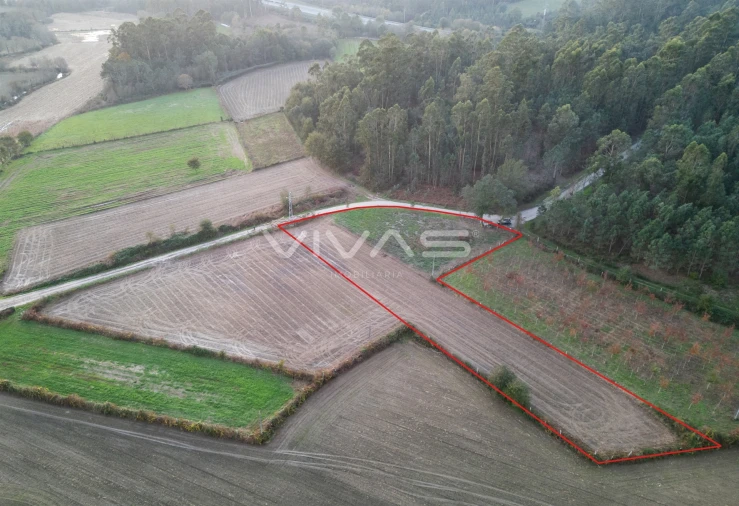 Terreno Agricola ou Rústico para Venda em Associação de Freguesias do Vale do Neiva Foto 4