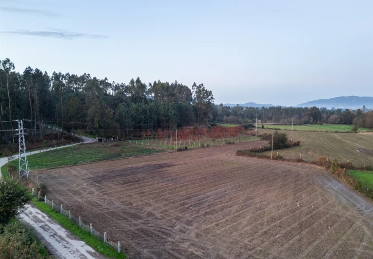 Terreno Agricola ou Rústico para Venda em Associação de Freguesias do Vale do Neiva Foto 9
