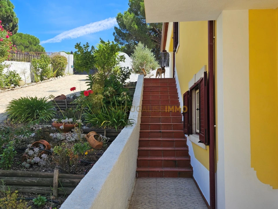 Quinta T6 para Venda em São Pedro de Tomar Foto 47