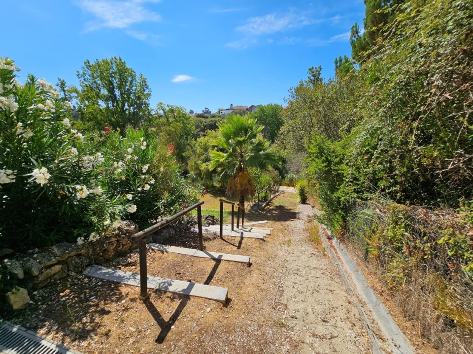 Quinta T6 para Venda em São Pedro de Tomar Foto 70