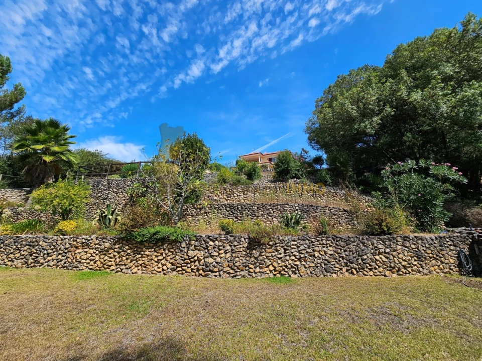 Quinta T6 para Venda em São Pedro de Tomar Foto 79