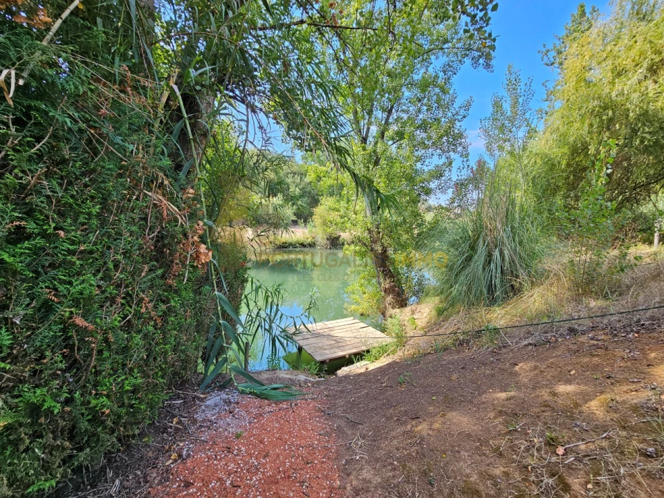 Quinta T6 para Venda em São Pedro de Tomar Foto 2