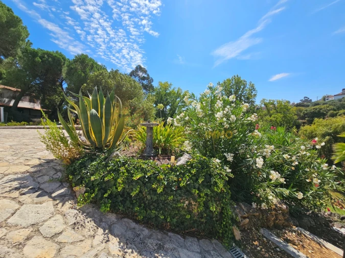 Quinta T6 para Venda em São Pedro de Tomar Foto 71
