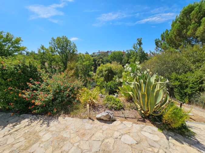 Quinta T6 para Venda em São Pedro de Tomar Foto 73