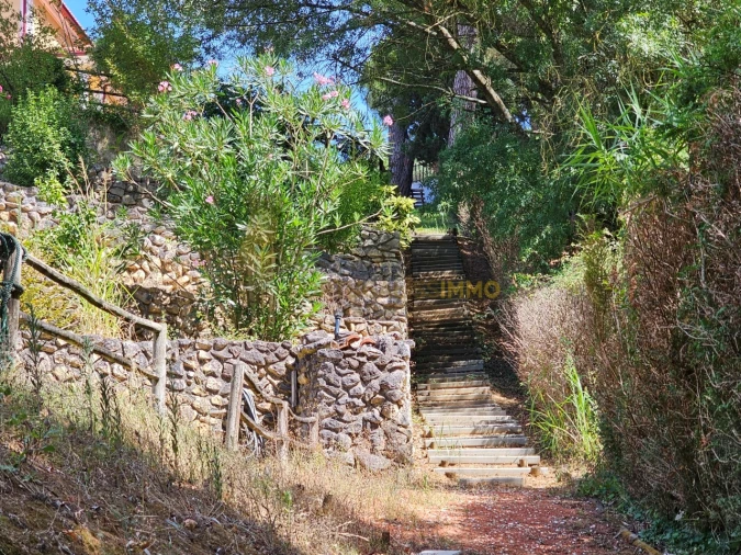 Quinta T6 para Venda em São Pedro de Tomar Foto 75