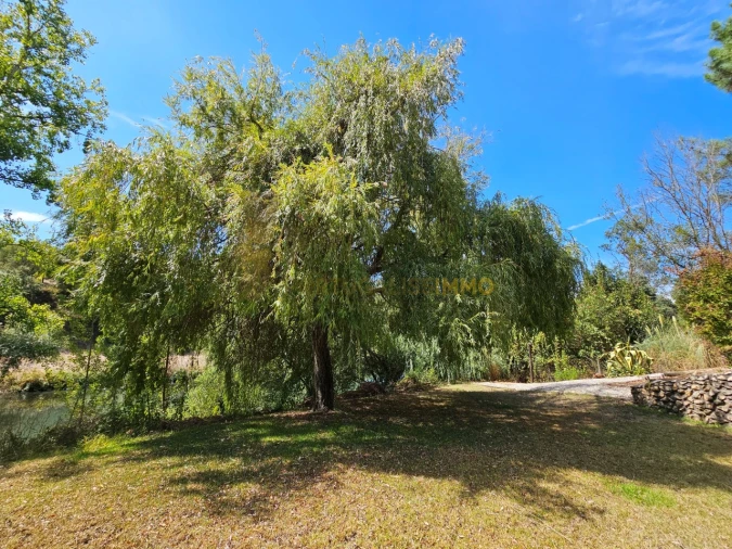 Quinta T6 para Venda em São Pedro de Tomar Foto 76