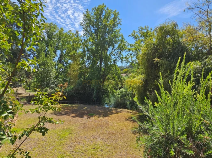 Quinta T6 para Venda em São Pedro de Tomar Foto 77