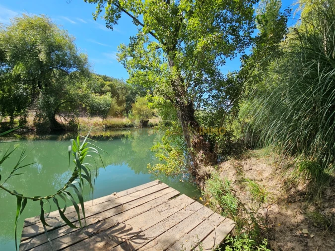 Quinta T6 para Venda em São Pedro de Tomar Foto 81