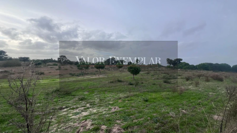 Quinta T0 para Venda em Alcochete Foto 6