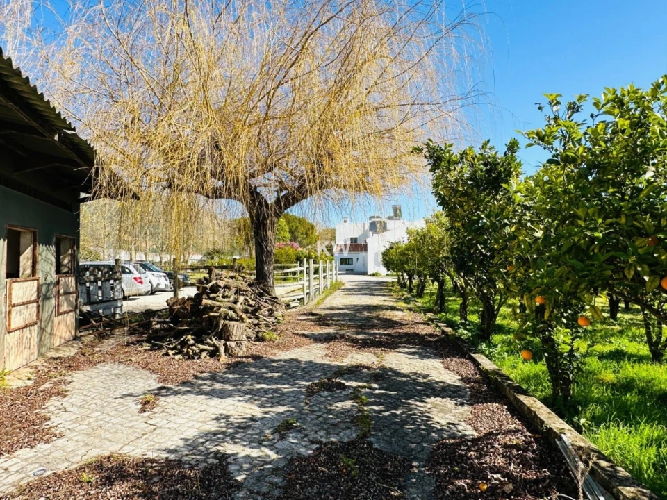 Moradia T17 para Venda em Abrigada e Cabanas de Torres Foto 19