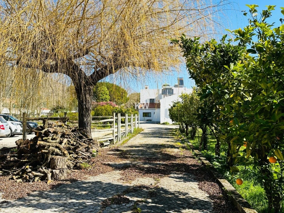 Moradia T17 para Venda em Abrigada e Cabanas de Torres Foto 22