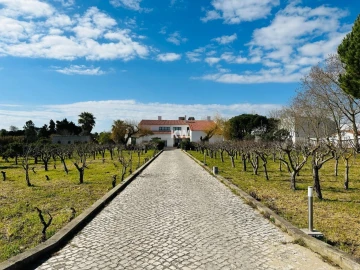 Moradia T17 para Venda em Abrigada e Cabanas de Torres