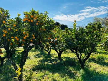 Moradia T17 para Venda em Abrigada e Cabanas de Torres