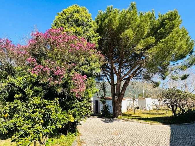 Moradia T17 para Venda em Abrigada e Cabanas de Torres Foto 28