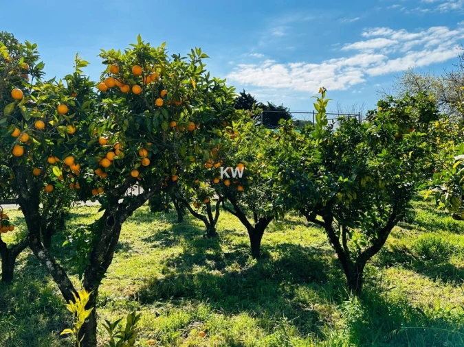 Moradia T17 para Venda em Abrigada e Cabanas de Torres Foto 13