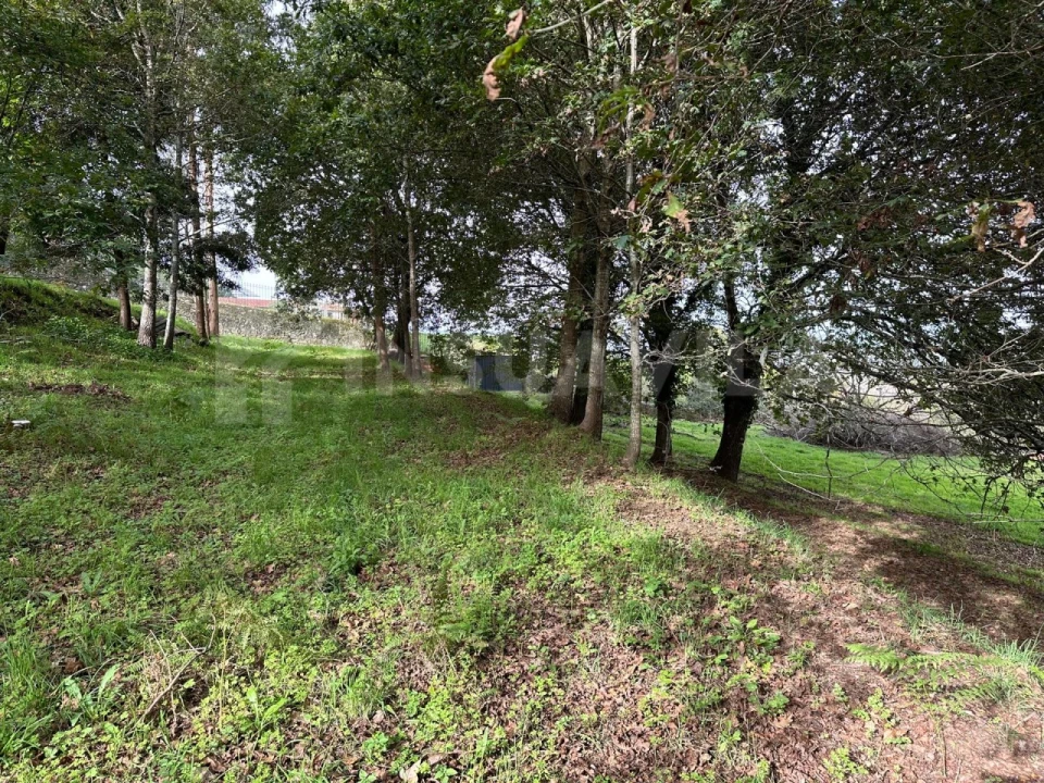 Terreno para Venda em Caminha (Matriz) e Vilarelho Foto 12