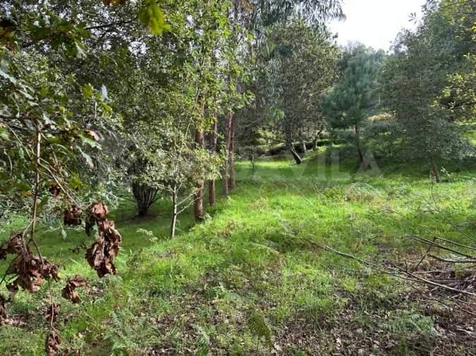 Terreno para Venda em Caminha (Matriz) e Vilarelho Foto 13