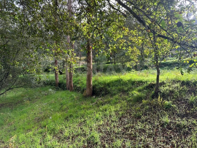 Terreno para Venda em Caminha (Matriz) e Vilarelho Foto 17
