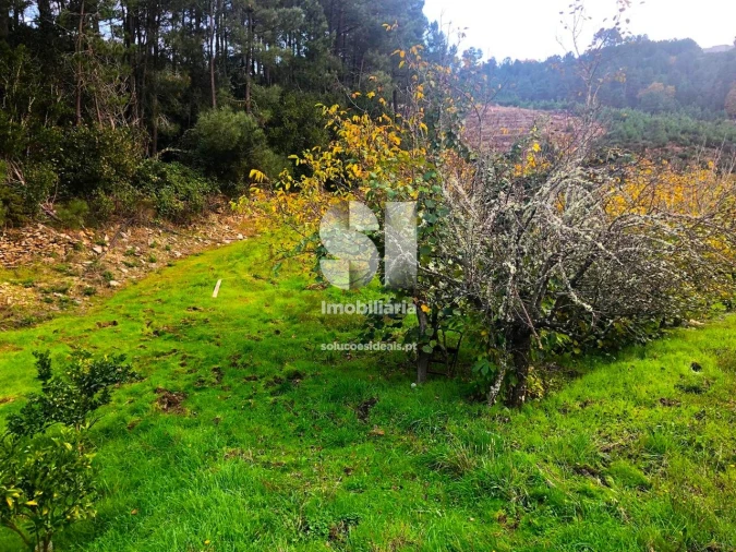 Terreno para Venda em São Martinho de Antas e Paradela de Guiães Foto 10