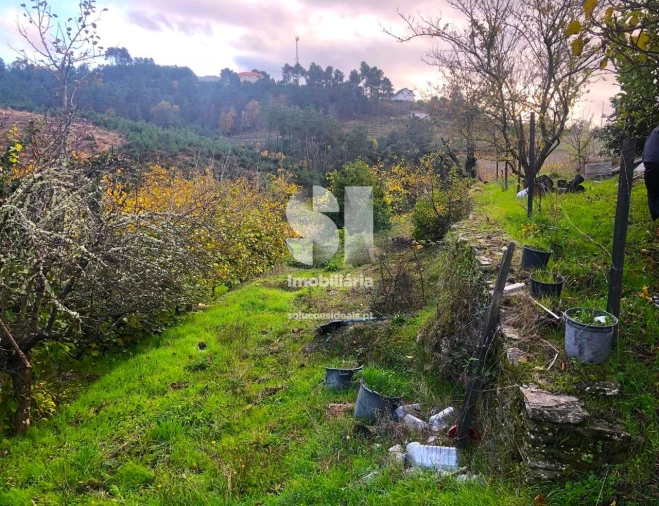 Terreno para Venda em São Martinho de Antas e Paradela de Guiães Foto 12