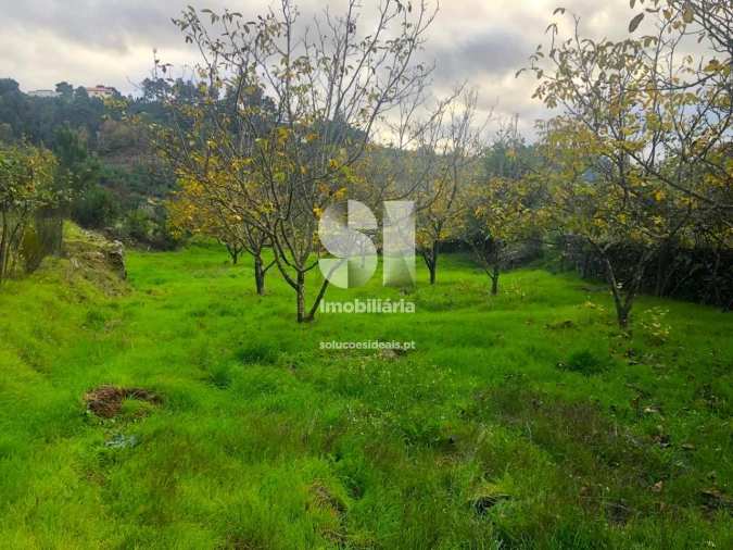 Terreno para Venda em São Martinho de Antas e Paradela de Guiães Foto 17