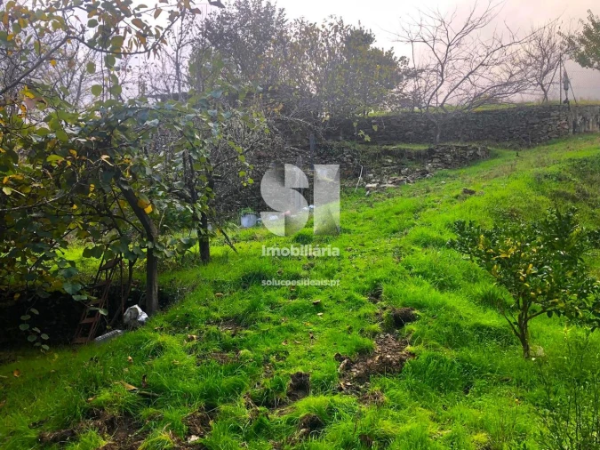 Terreno para Venda em São Martinho de Antas e Paradela de Guiães Foto 18