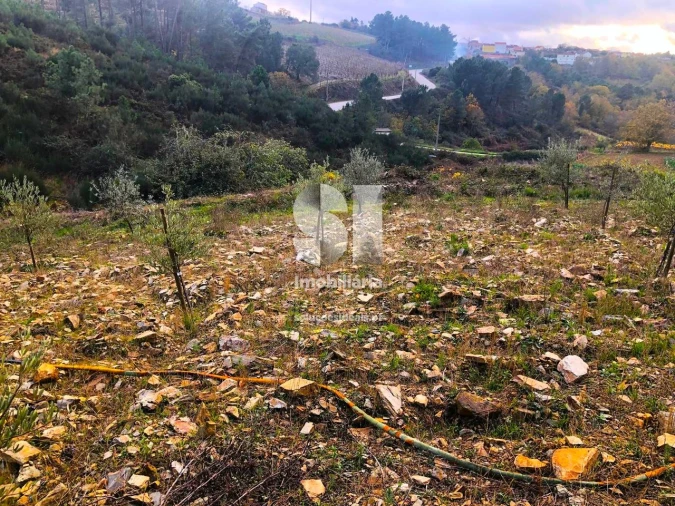 Terreno para Venda em São Martinho de Antas e Paradela de Guiães Foto 20