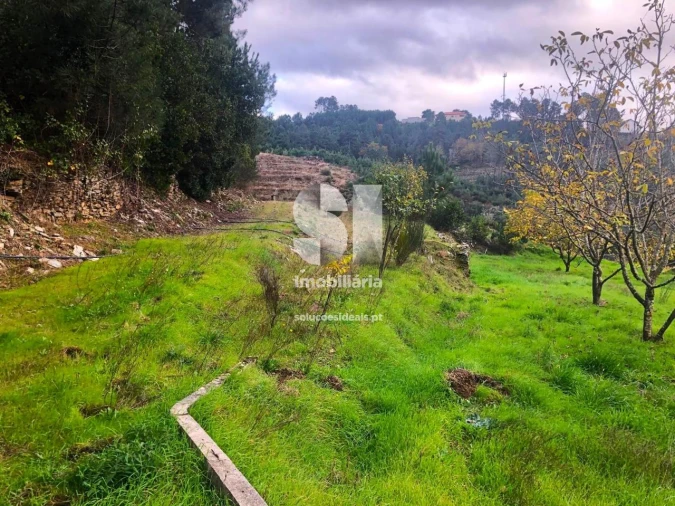 Terreno para Venda em São Martinho de Antas e Paradela de Guiães Foto 21