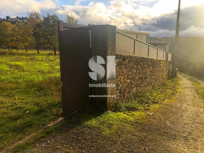 Terreno para Venda em São Martinho de Antas e Paradela de Guiães Foto 6