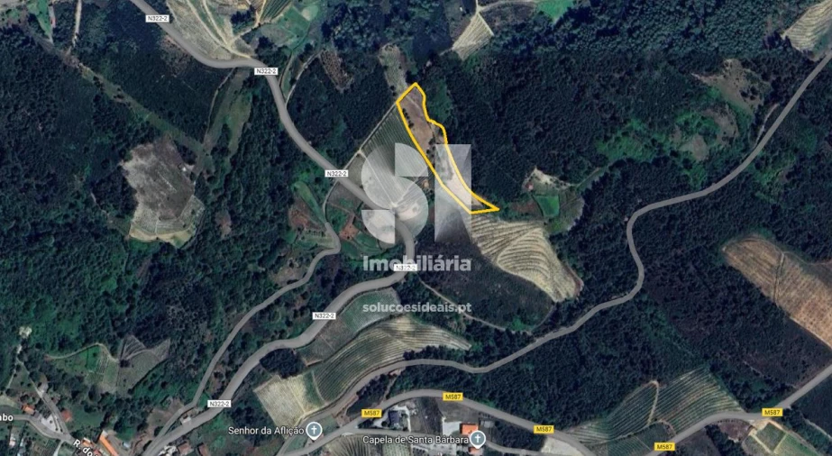 Terreno para Venda em São Martinho de Antas e Paradela de Guiães Foto 34