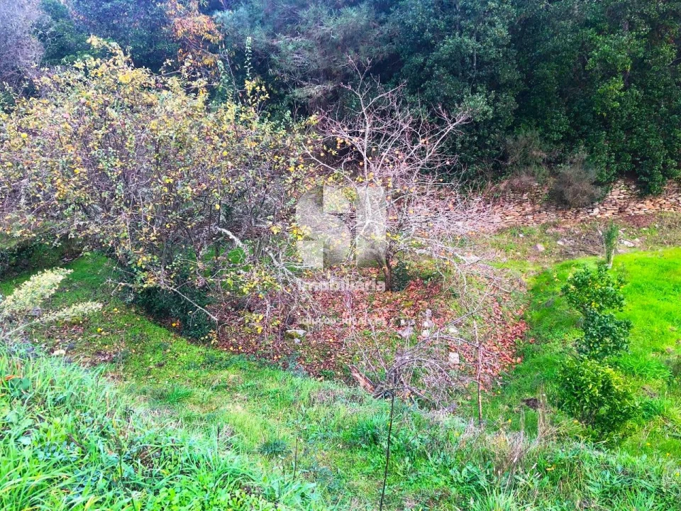 Terreno para Venda em São Martinho de Antas e Paradela de Guiães Foto 11