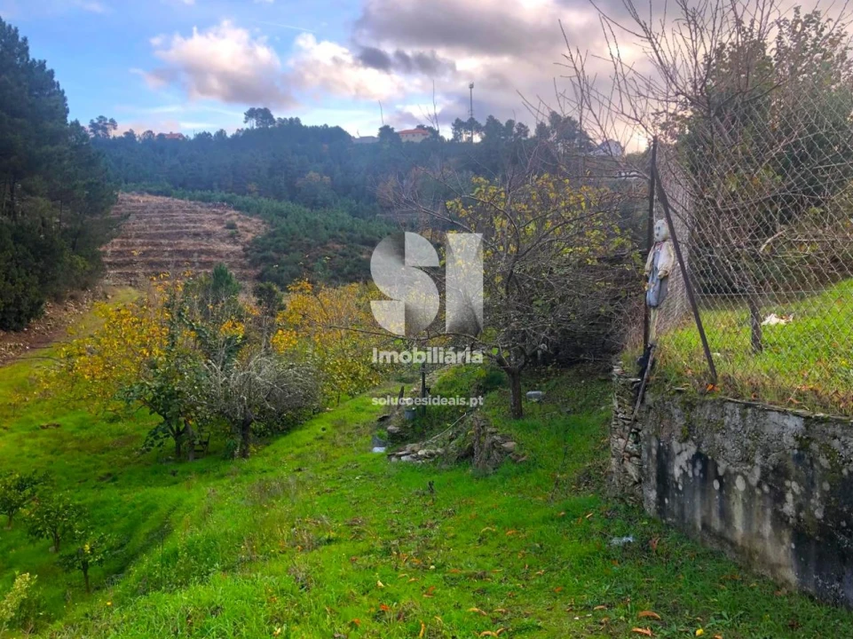 Terreno para Venda em São Martinho de Antas e Paradela de Guiães Foto 5