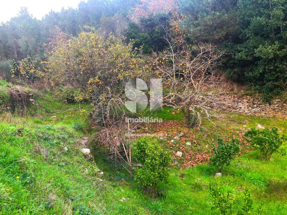 Terreno para Venda em São Martinho de Antas e Paradela de Guiães Foto 9