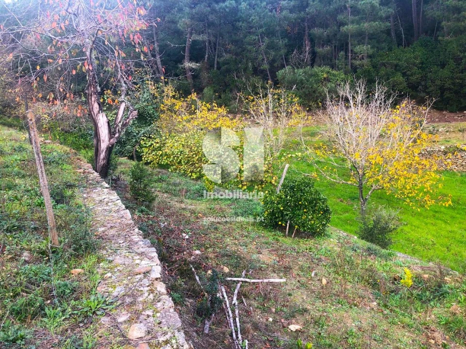 Terreno para Venda em São Martinho de Antas e Paradela de Guiães Foto 13