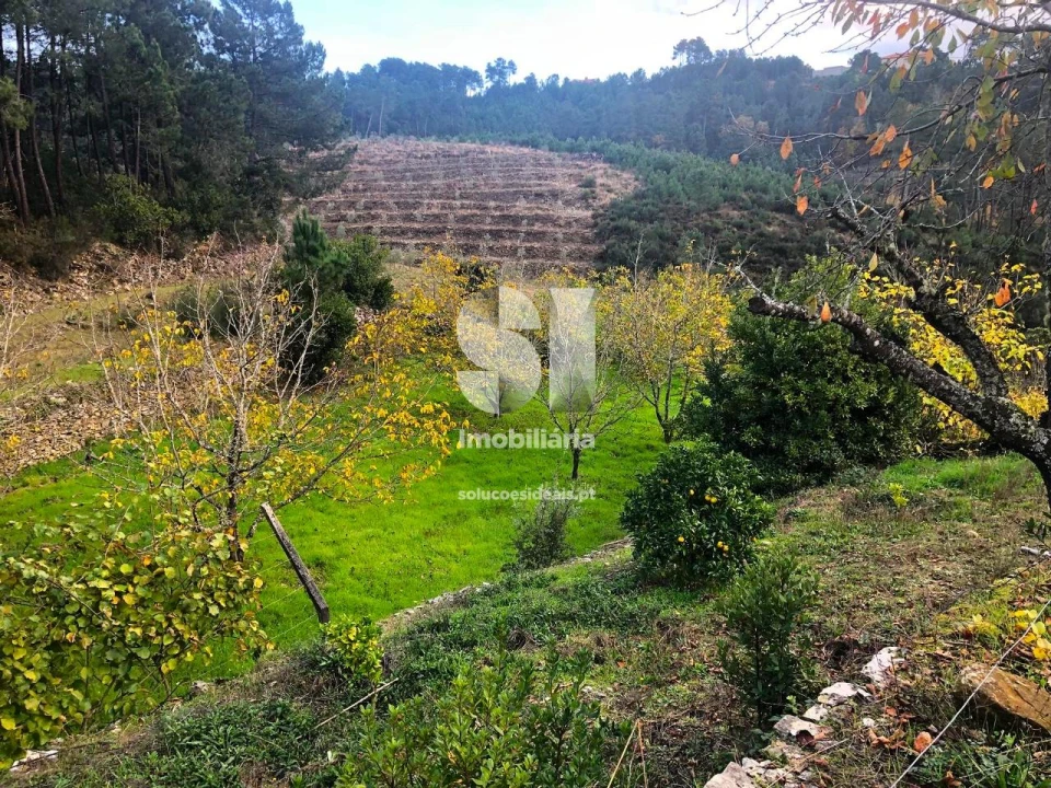 Terreno para Venda em São Martinho de Antas e Paradela de Guiães Foto 14