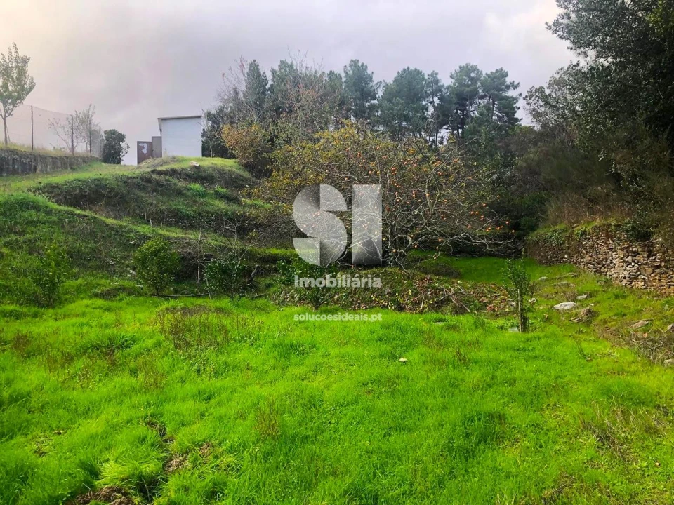 Terreno para Venda em São Martinho de Antas e Paradela de Guiães Foto 16
